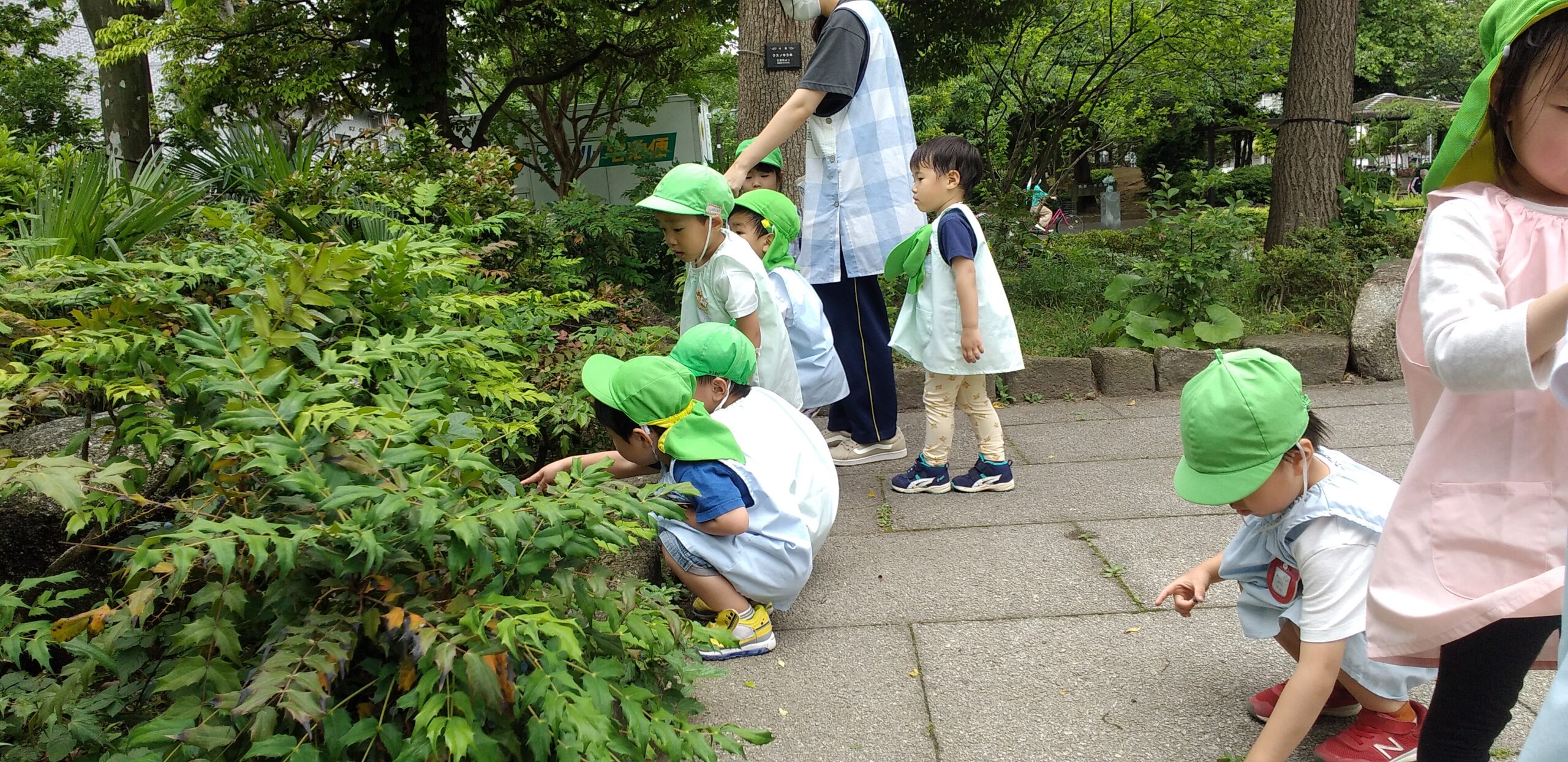 お知らせ 葛西のこども園 学童クラブは仲よし保育園